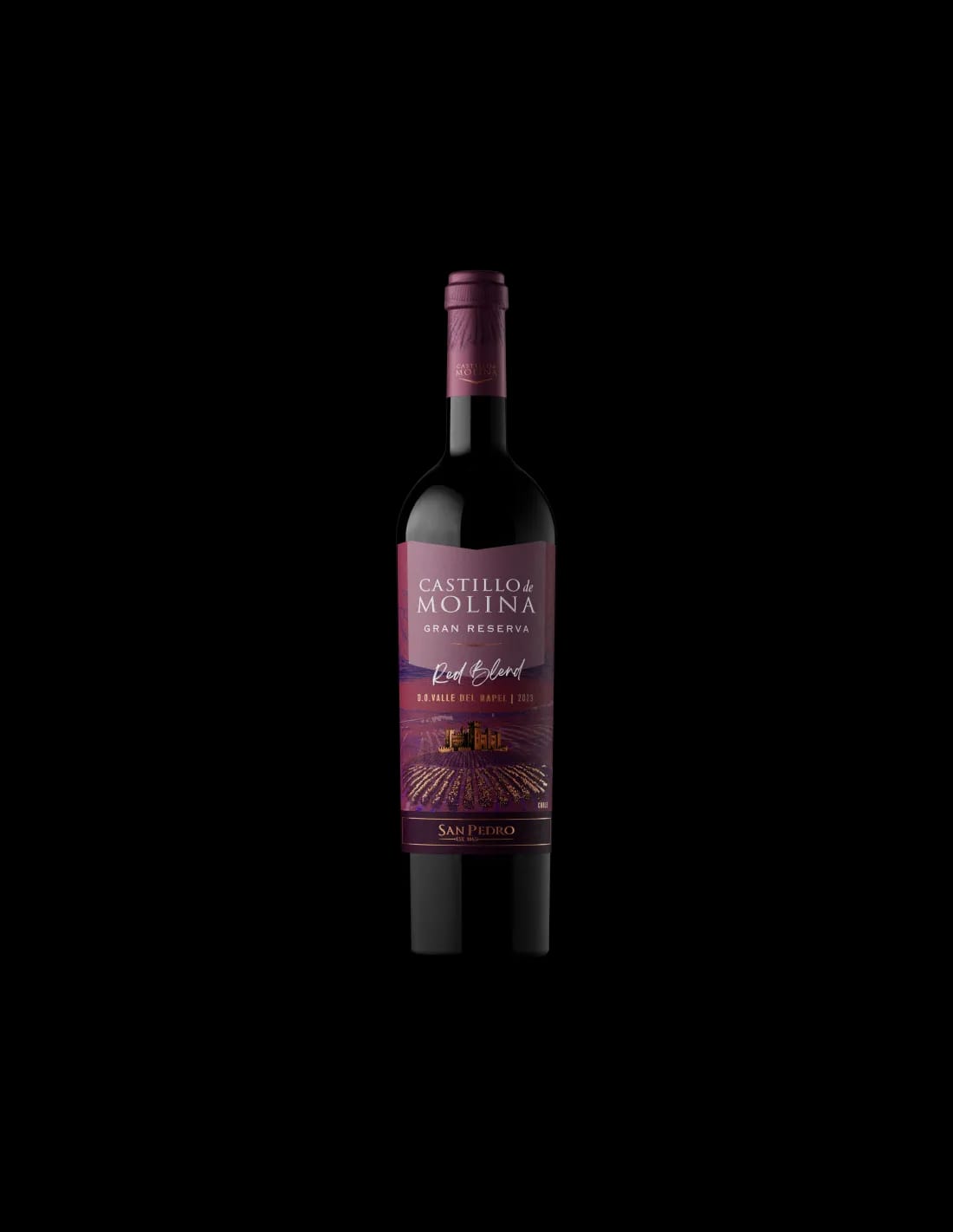 Castillo Molina Gran Reserva Red Blend 750 ML